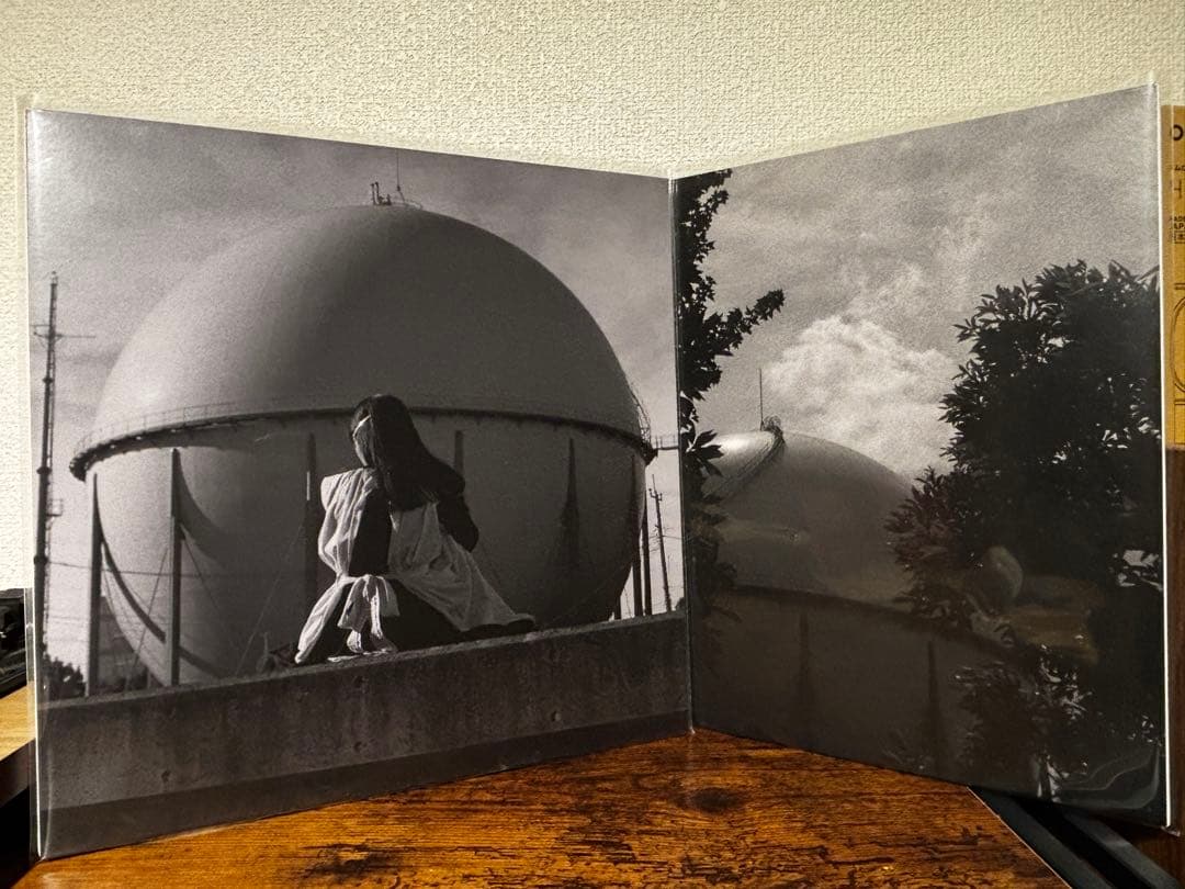 カネコアヤノ / タオルケットは穏やかに ＋ ひとりでに LP レコード セット