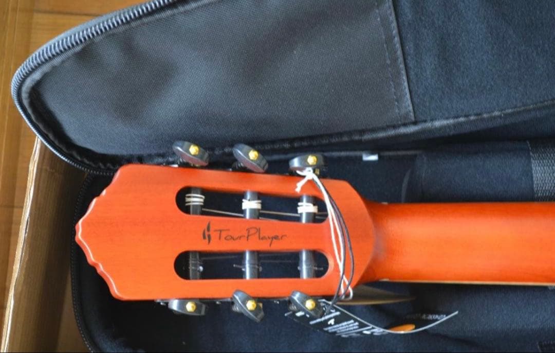 【ほぼ新品】Ortega RTPDLX-FMA TOURPLAYER エレガット