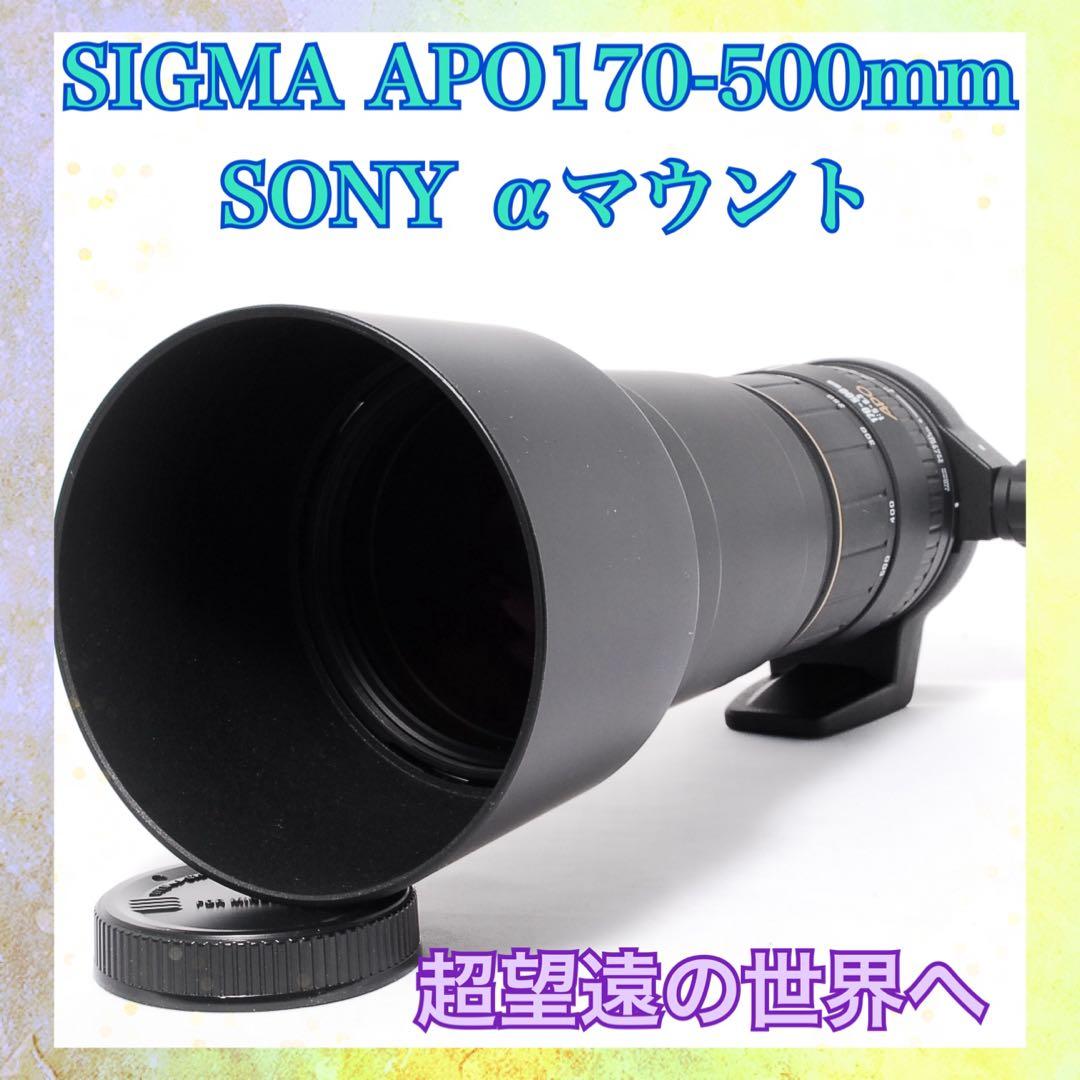 超望遠の世界へ◆SIGMA APO 170-500mm SONY◆動作確認済み◆