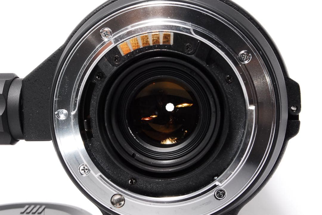 超望遠の世界へ◆SIGMA APO 170-500mm SONY◆動作確認済み◆