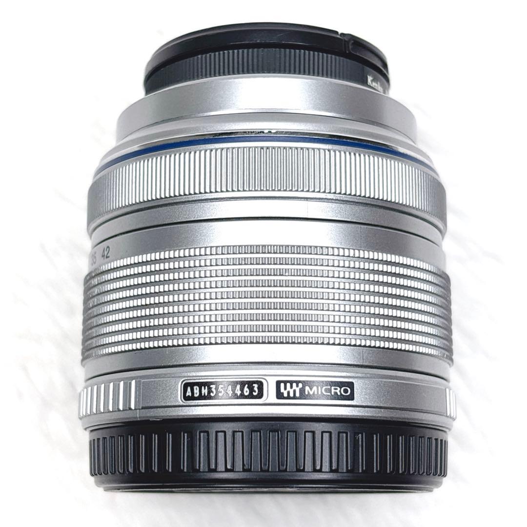 OLYMPUS PEN mini E-PM1 動作確認済 ミラーレス一眼