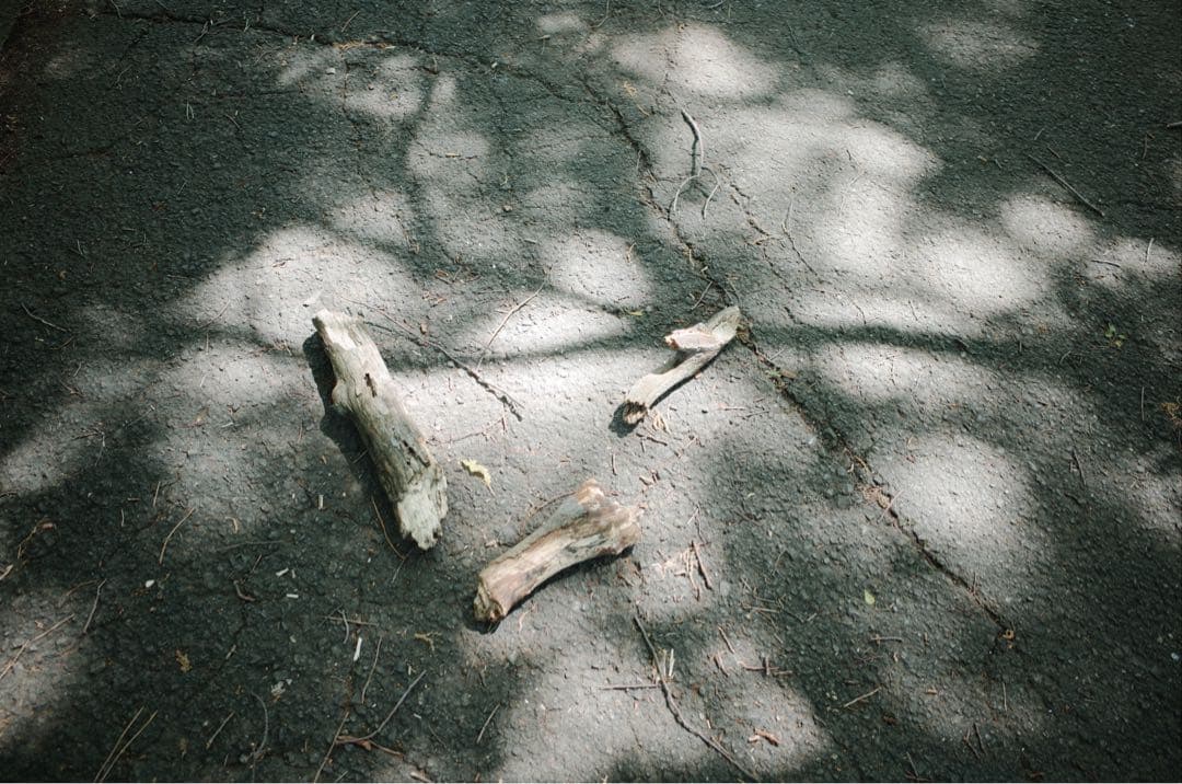 最終値下げ！RICOH リコー GR II 初回生産限定セット ※作例有り