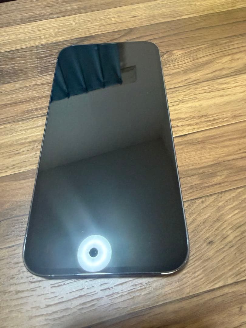 Apple iPhone 13 Promax 256gb シエラブルー