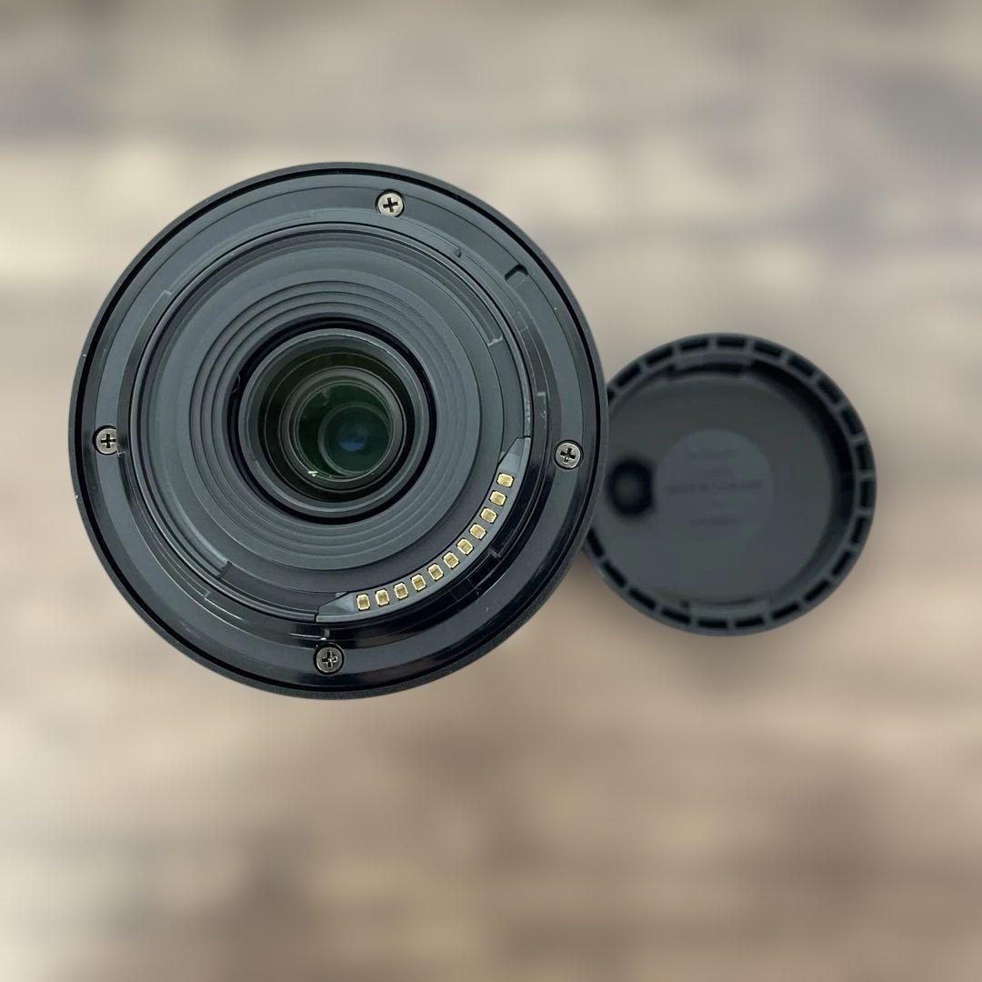 12101NIKKOR Z マウント 18-140mm f/3.5-6.3 VR