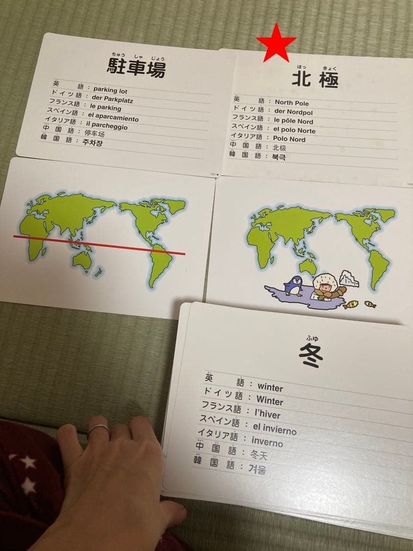 七田式 フラッシュカード かな絵ちゃん BCセット 8カ国語版