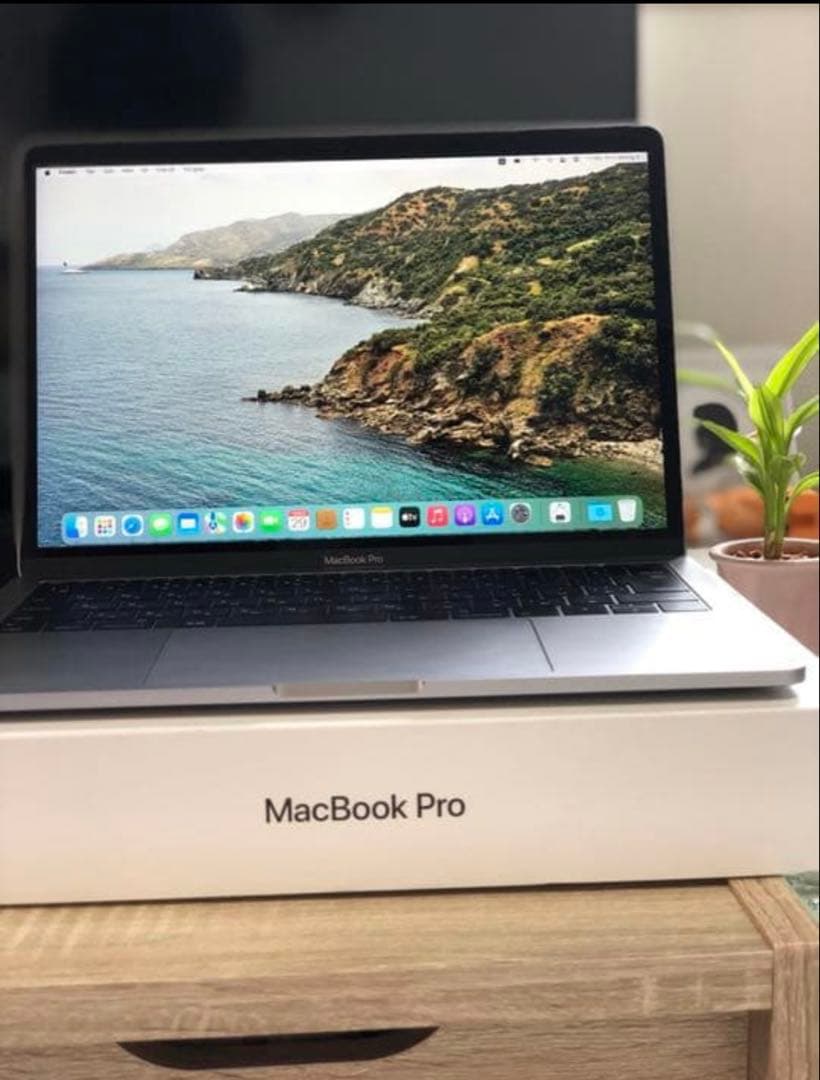 MacBook本体 APPLE MacBook Pro MACBOOK PRO MLUQ2J/A