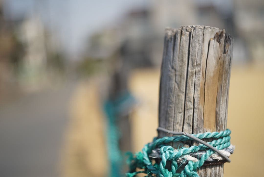 OLYMPUS PEN-FT＋F.Zuiko Auto 38mm F1.8