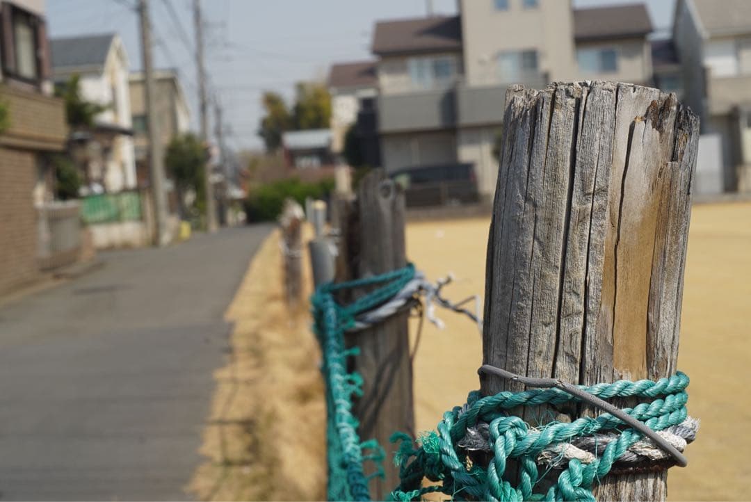 OLYMPUS PEN-FT＋F.Zuiko Auto 38mm F1.8