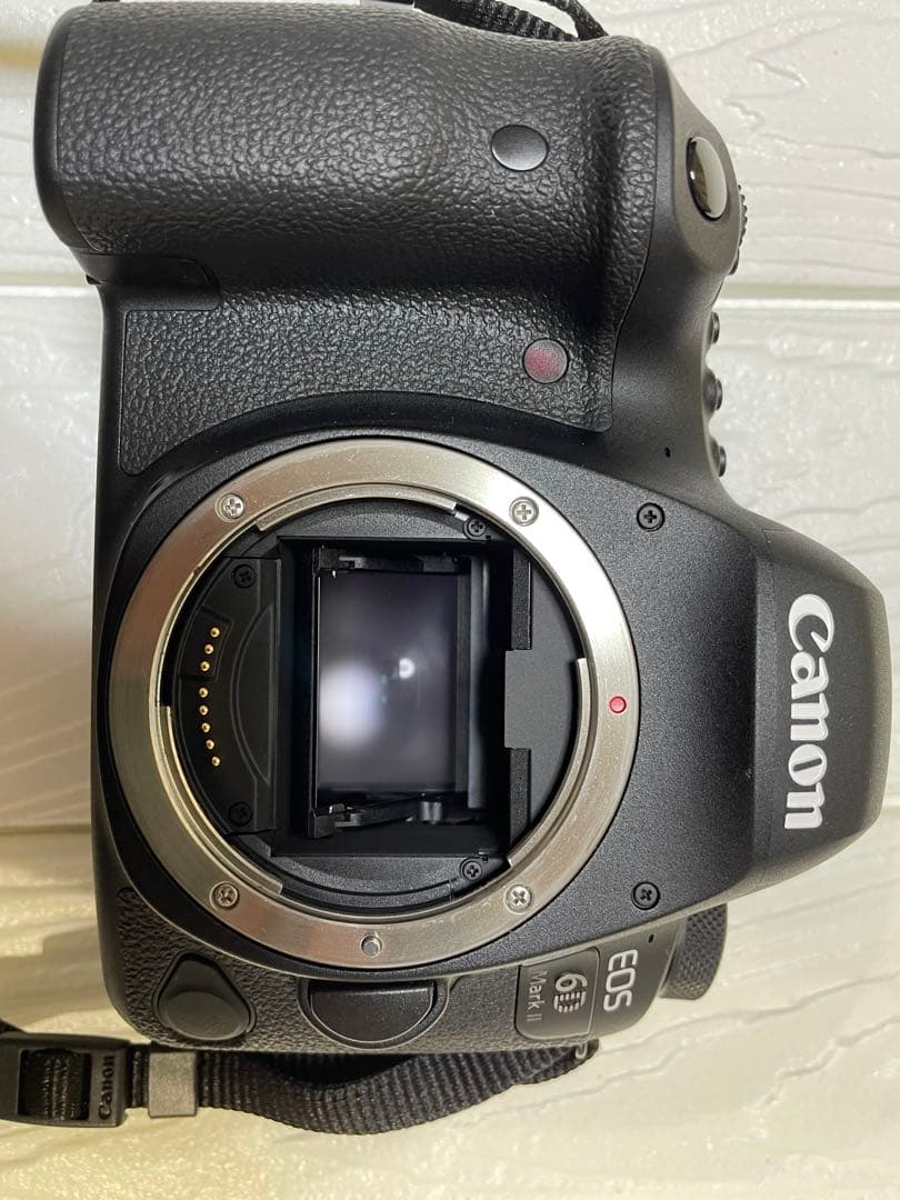 【美品】キャノン EOS 6DmarkⅡ フルサイズ一眼レフ　ボディー