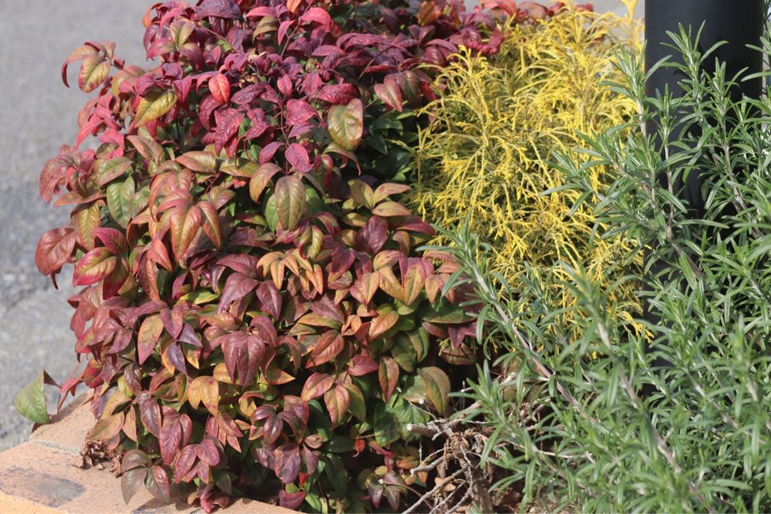 ✨人気機種✨Canon EOS Kiss X9i ダブルレンズ　充実付属品セット