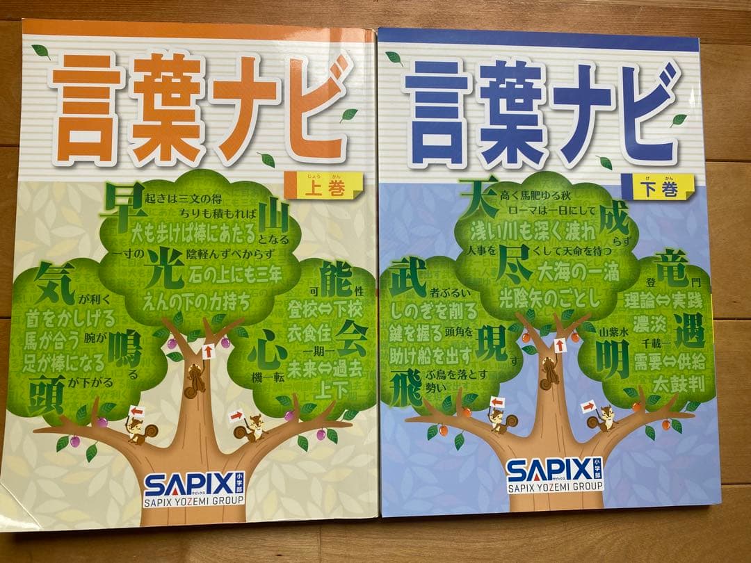 美品【2冊セット】サピックスSAPIX 言葉ナビ 上巻2022年/下巻2024年