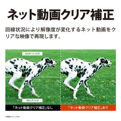 シャープアクオス　32型スマートテレビ　(2024年12月発売モデル)新品未開封