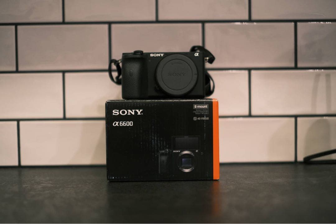 SONY α6600 ミラーレス一眼 本体と付属品