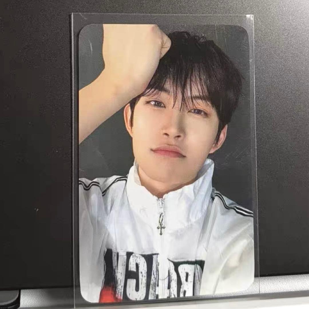 ALD1 ゴヌ EUPHORIA ショーケース showcace トレカA