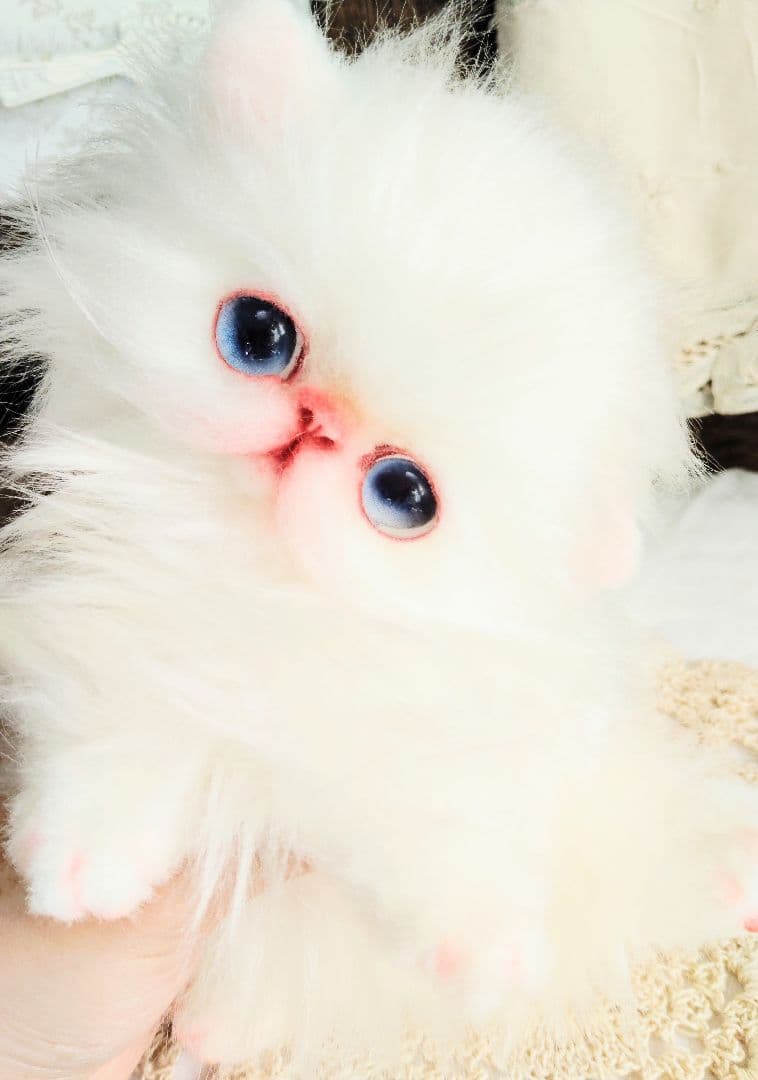 エキゾチックロングヘア♡子猫のミイちゃん♡アートドール♡ぬいぐるみ♡