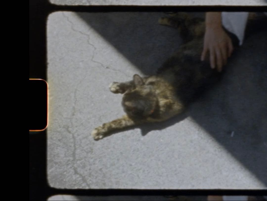 【tkd】Canon AUTO ZOOM 518SV SUPER8