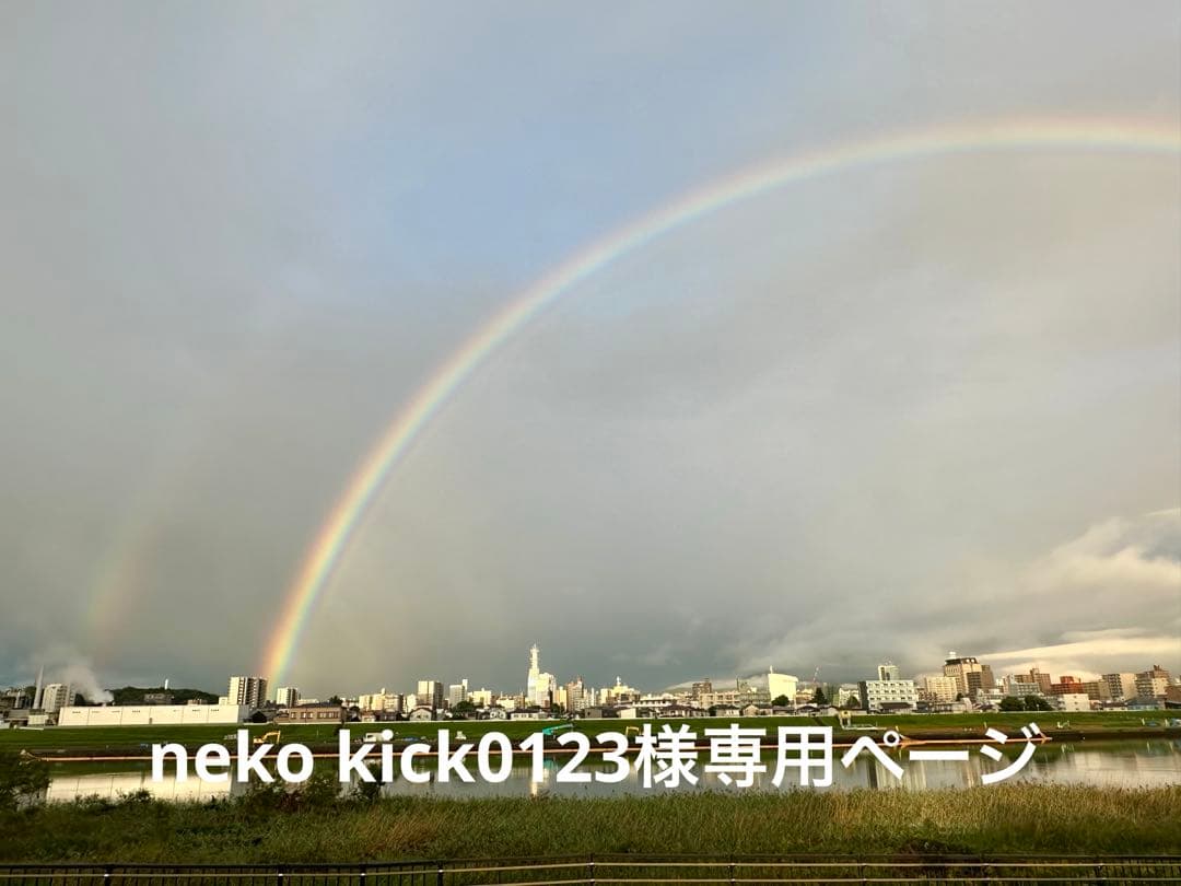 neko kick0123ページ リピート価格