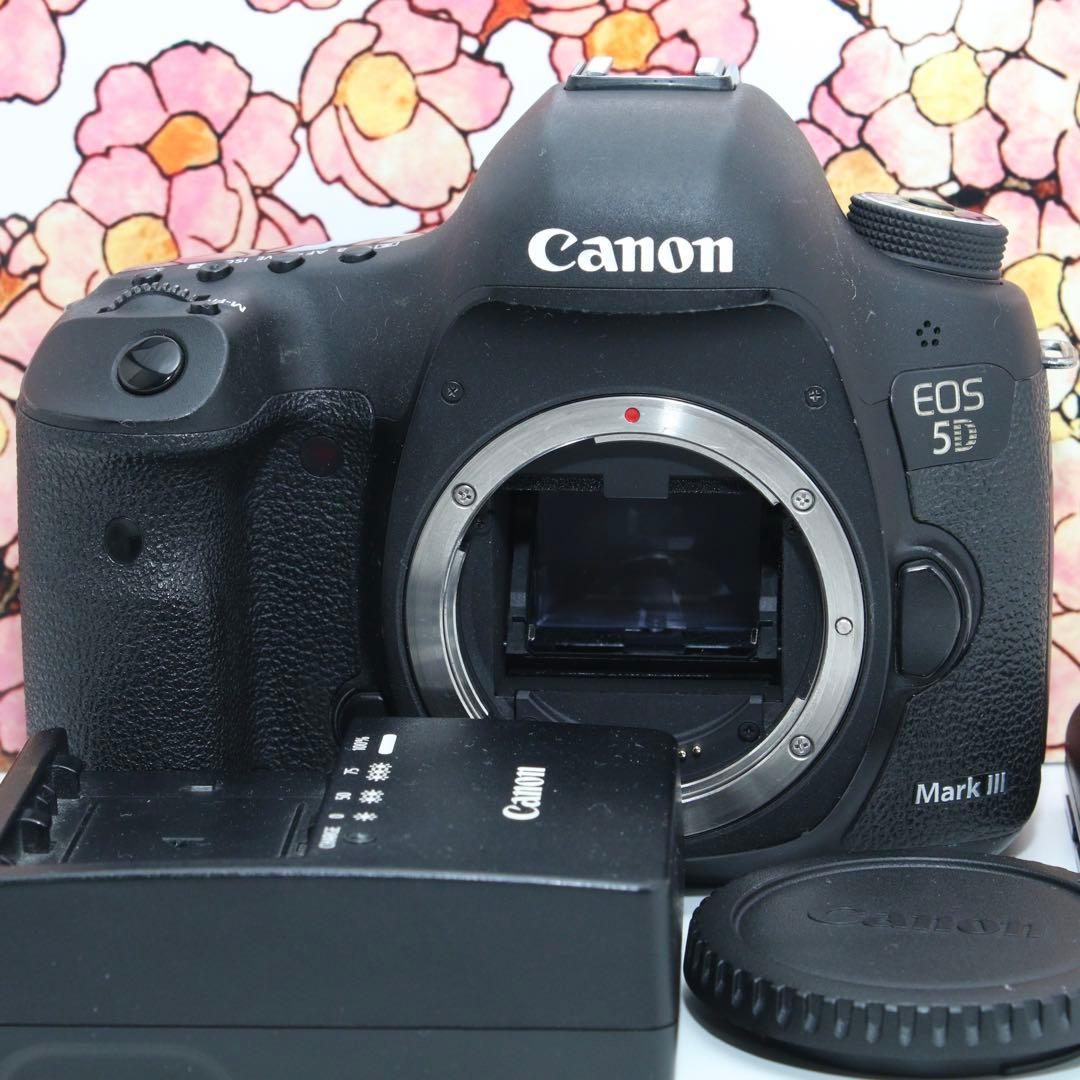 ❤堅牢の5D系列❤キヤノン EOS 5D mark Ⅲ❤️