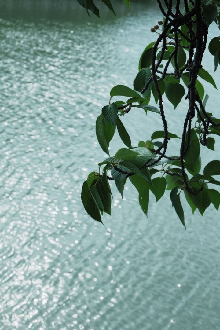 Fujifilm XA3ミラーレス一眼カメラ 付属品付き