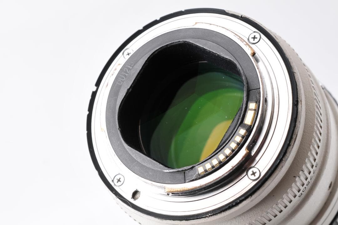 Canon EF 70-200㎜　F2.8 L IS USM