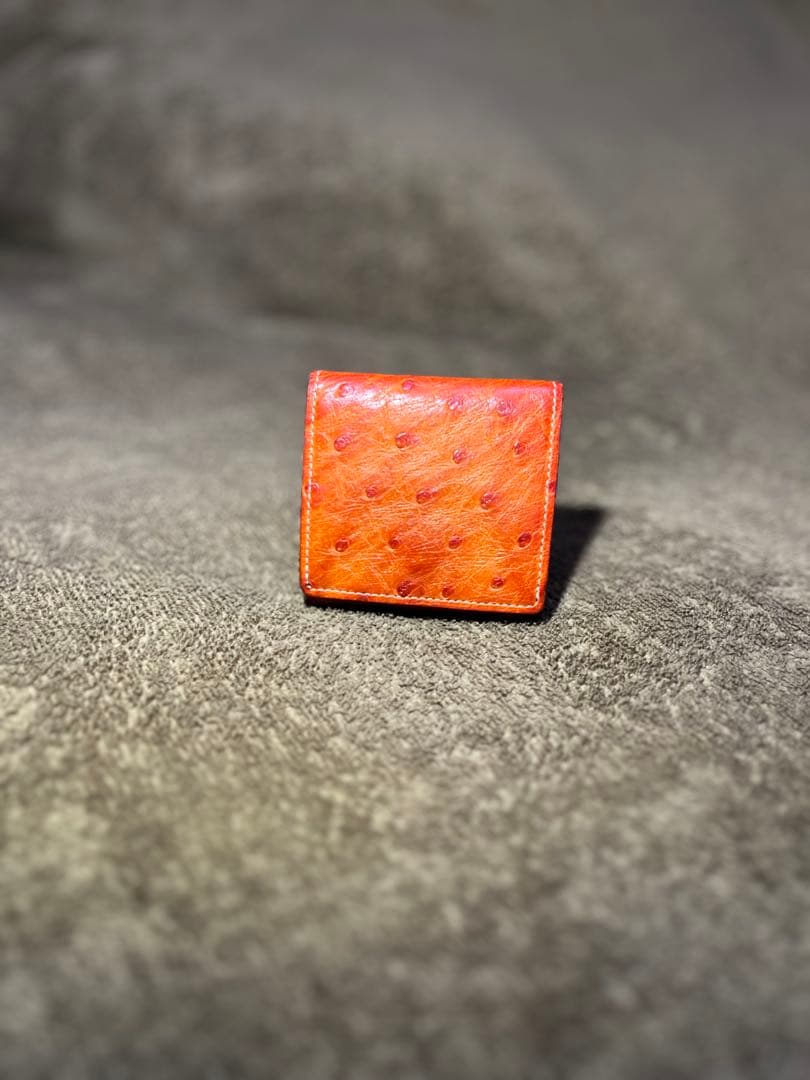 ガンゾ GANZO ケース 小銭入れ オーストリッチ エキゾチックレザー