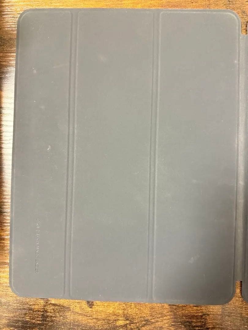 iPad Pro (第5世代) 256GB wi-fi + Cellular