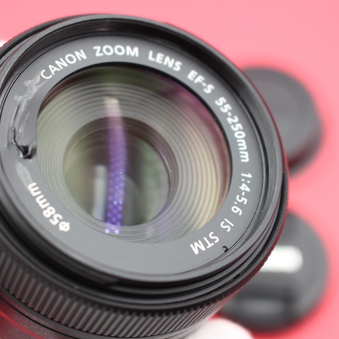 ❤️Canon 55-250mm IS STM❤️動画撮影も滑らか❤️