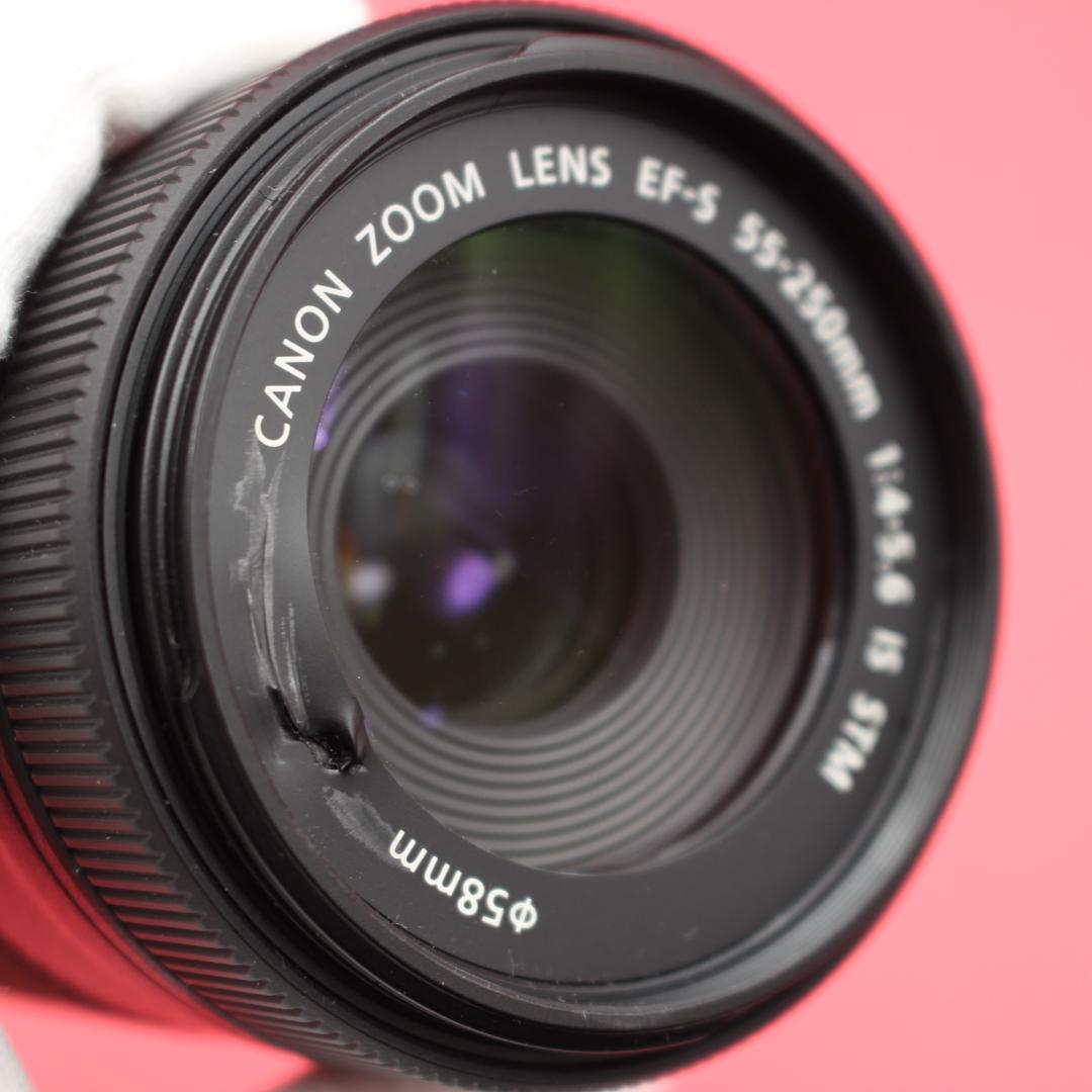 ❤️Canon 55-250mm IS STM❤️動画撮影も滑らか❤️