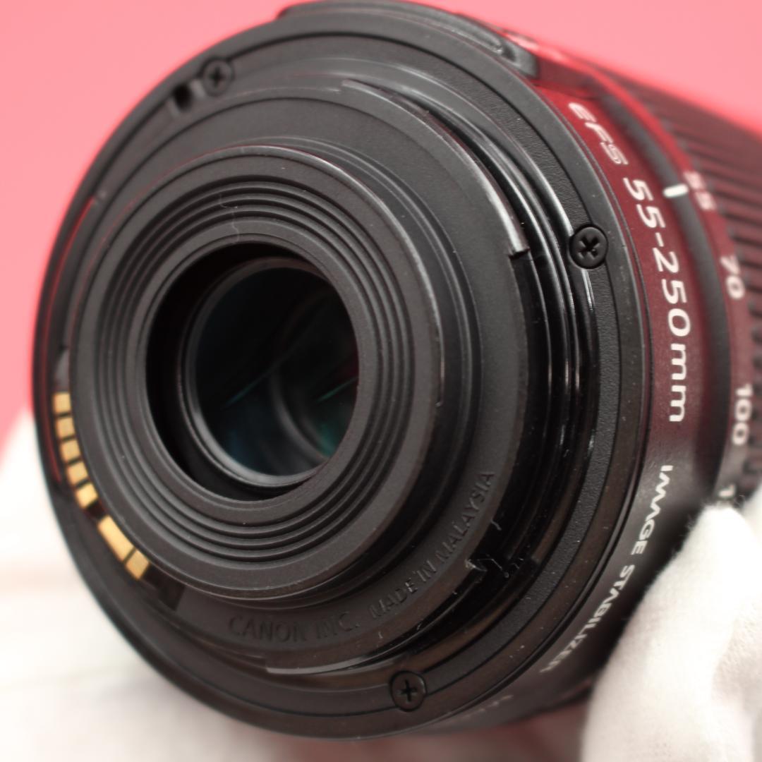 ❤️Canon 55-250mm IS STM❤️動画撮影も滑らか❤️