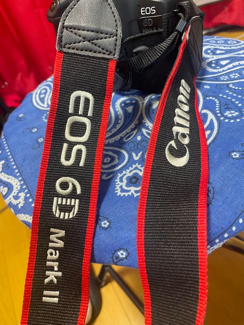 Canon EOS 6D Mark II デジタル一眼レフ キャノン カメラ