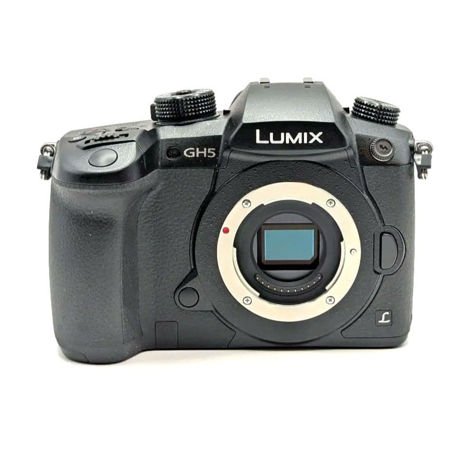 Panasonic LUMIX GH5 RD-SPM049 美品