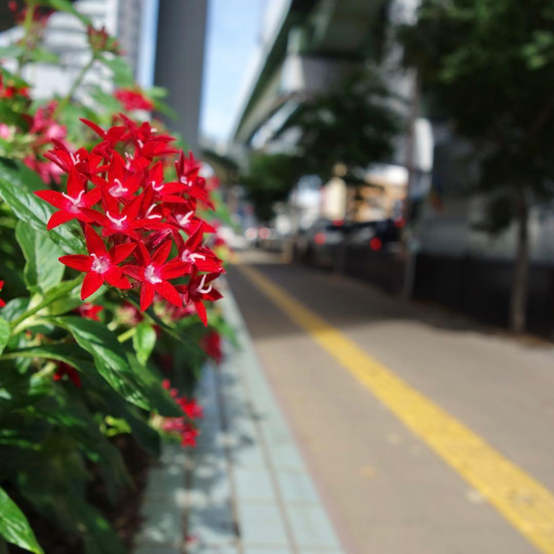 【美品＆オプション付き】RX100 後期型（ver.2） SDカード32GB