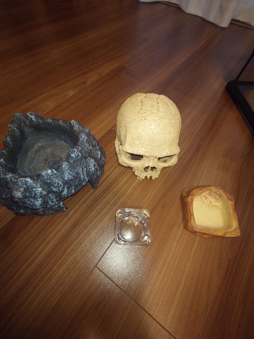 るなちゃんまん様用　グラステラリウム3030 爬虫類飼育セット　レオパ