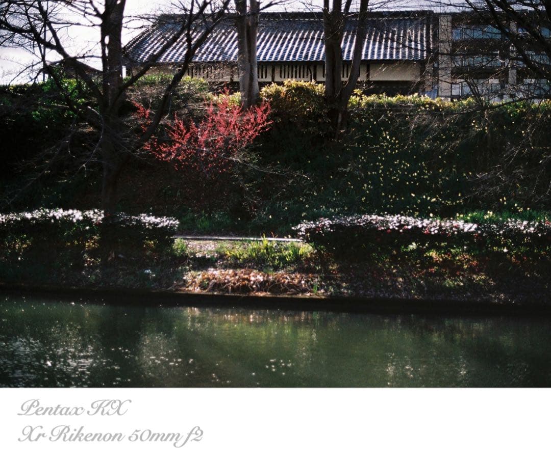 ★希少品＊超美品★pentax kx★富岡光学製/rikenon f2★作例必見