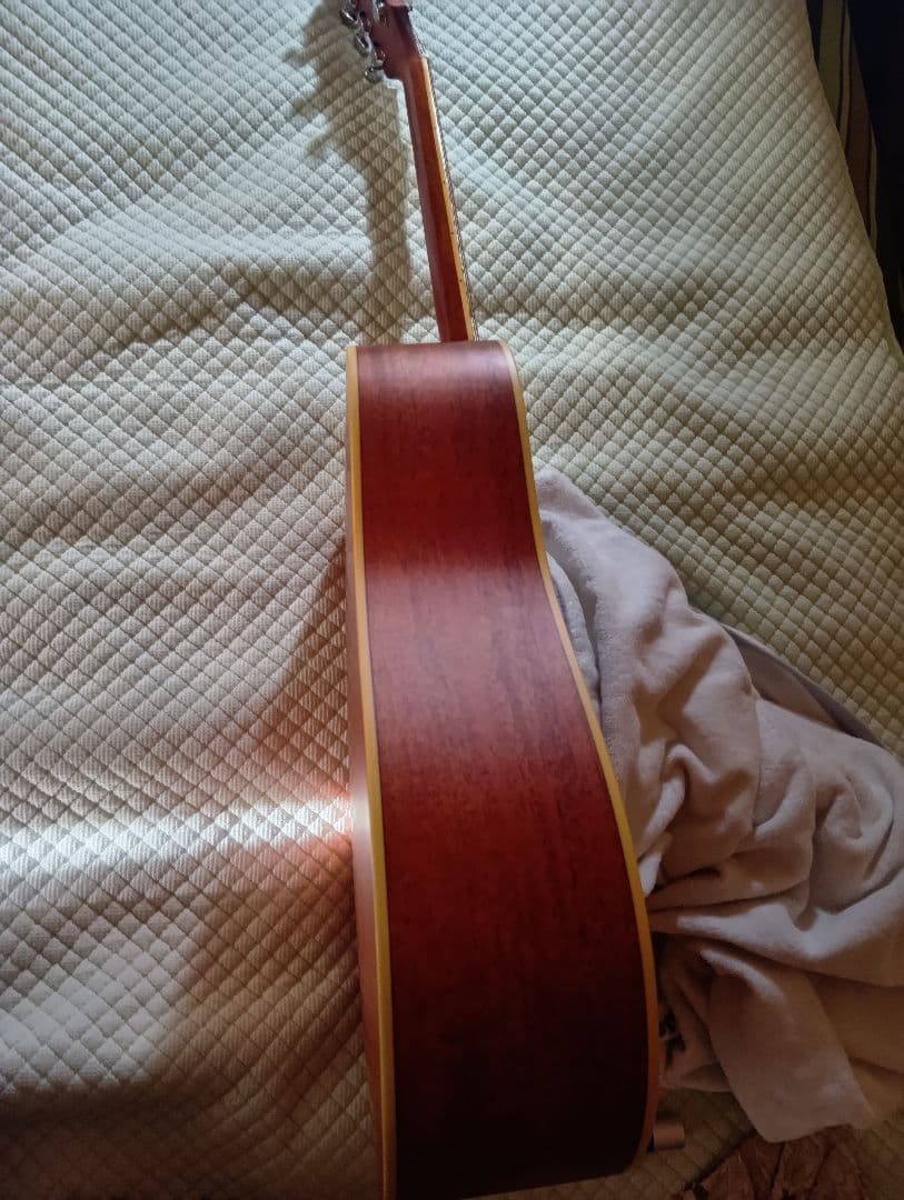 Fender DG-16NATアコースティックギターハードケース、ピックアップ付