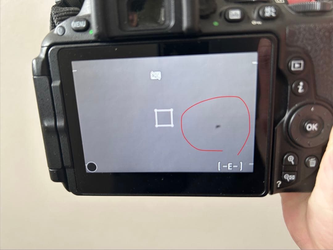 デジタルカメラ Nikon D5500