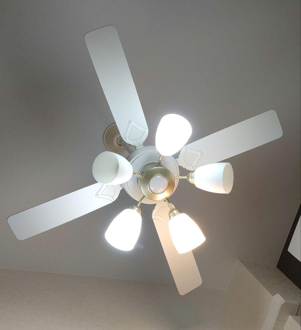 SIS シーリングファンライト プライウッド 42インチシーリングファン