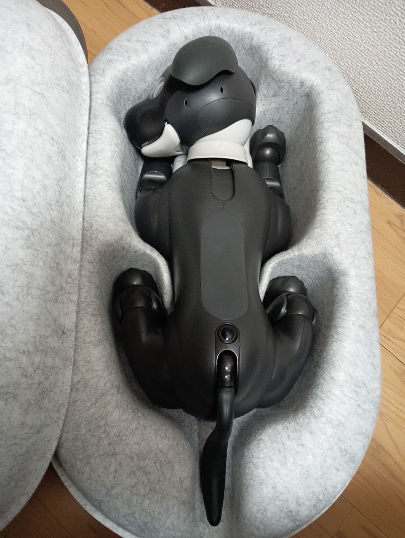 aibo　エスプレッソ　本体　中古品　※本文必読