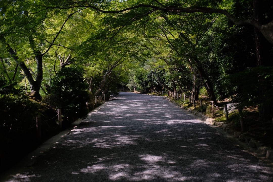 デジタルカメラ fujifilm xpro2