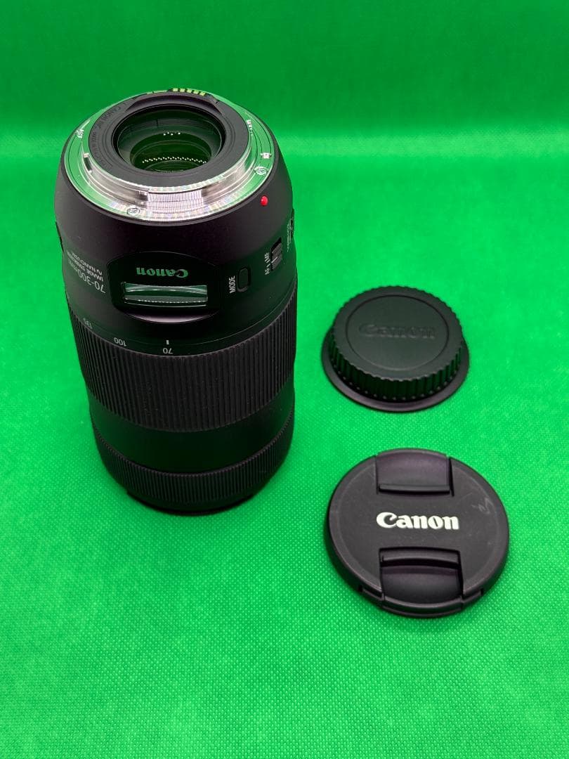 Canon EF70-300mm F4-5.6 IS II USM + フード
