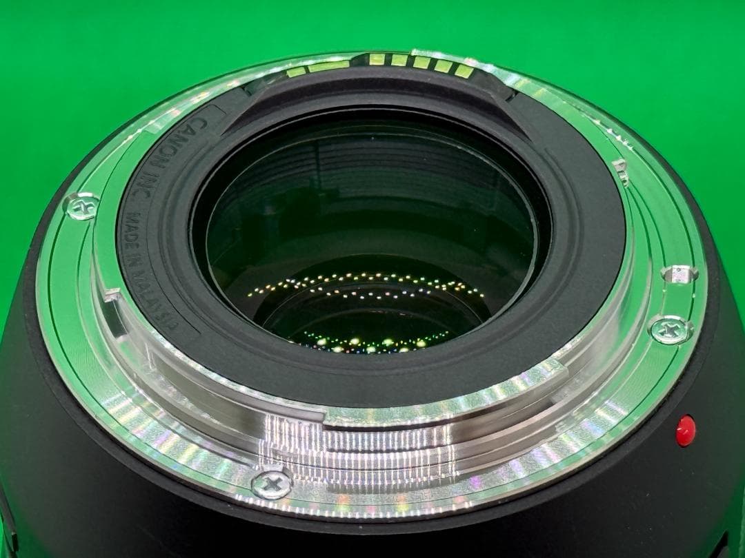 Canon EF70-300mm F4-5.6 IS II USM + フード