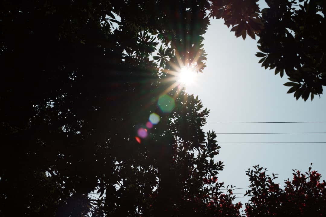 【極美品】動作◎ ニコン　Ai Nikkor 50mm F1.4 223