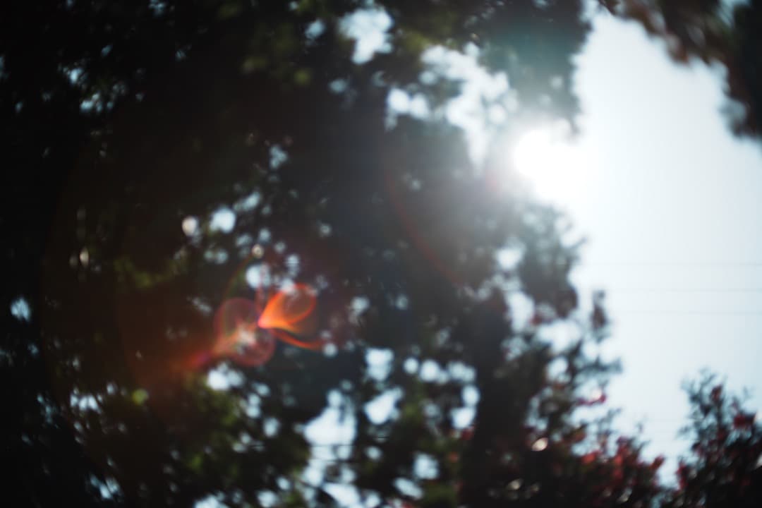 【極美品】動作◎ ニコン　Ai Nikkor 50mm F1.4 223