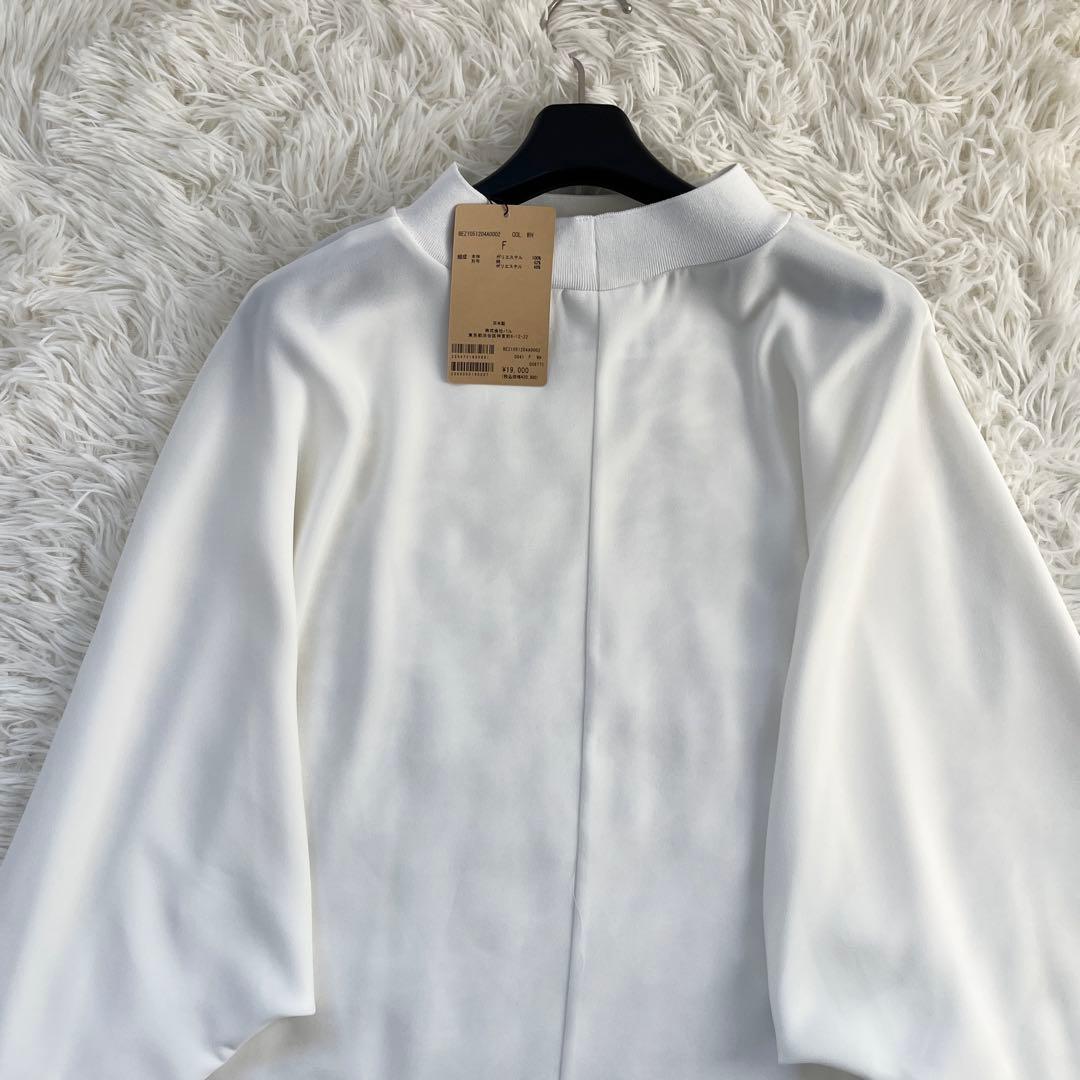 ◎ハッチマル◎専用 タグ付　ビアズリー ニットコンビドルマンブラウス　Fサイズ