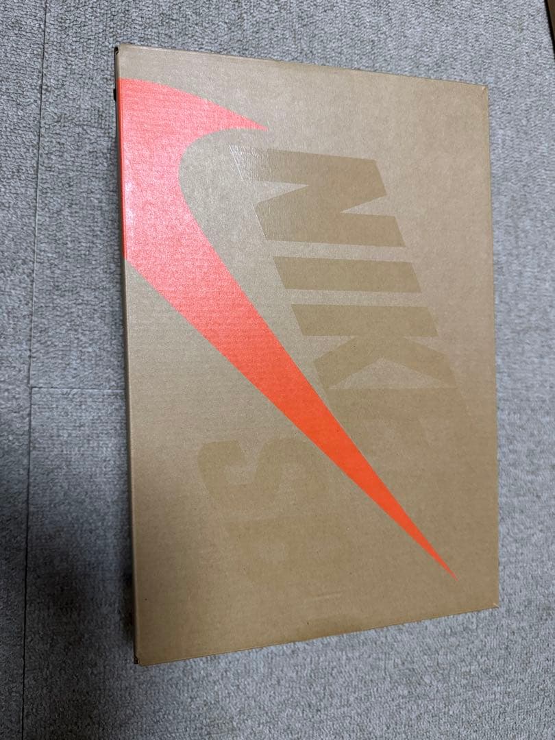 ナイキ SB ダンク ロー \"サターン ゴールド