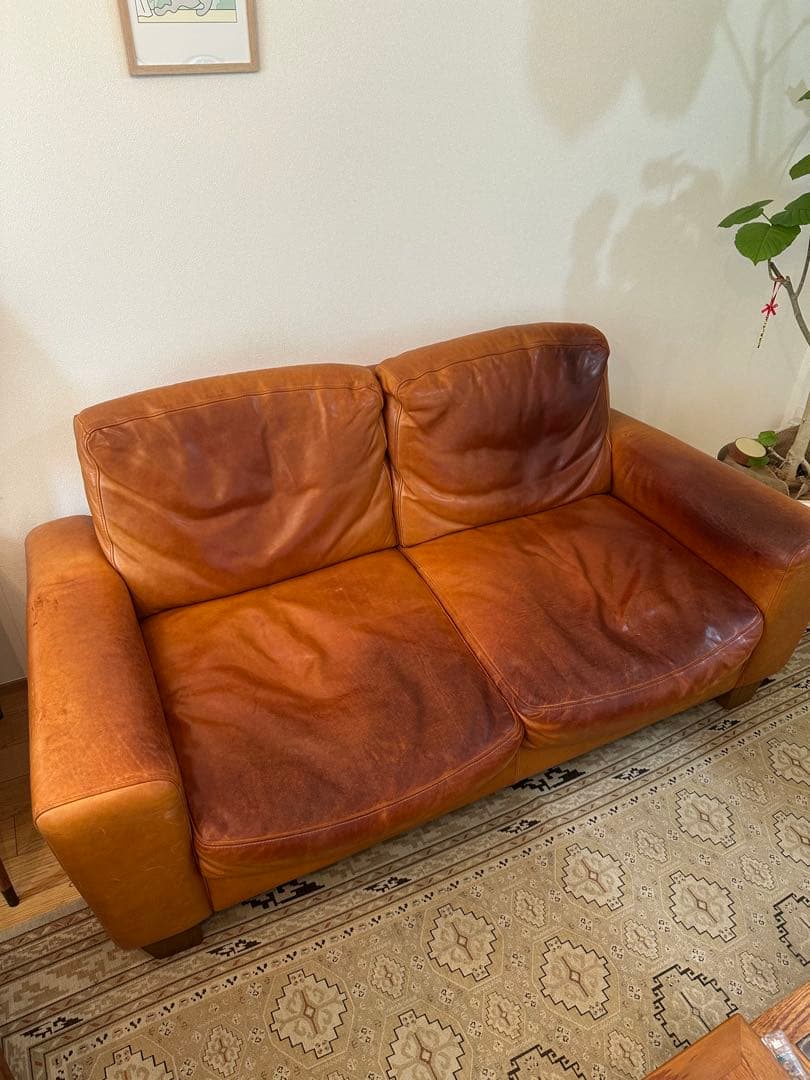 その他 ACME Furniture FRESNO SOFA 2P