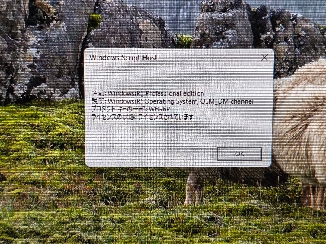 NucBox G2 ミニPC N100 12GB 512GB