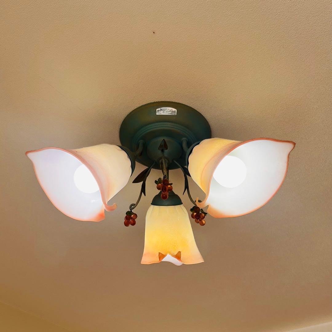 チッチ　コイズミ LED VINOLETTA