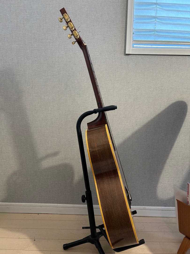 Greco アコースティックギター