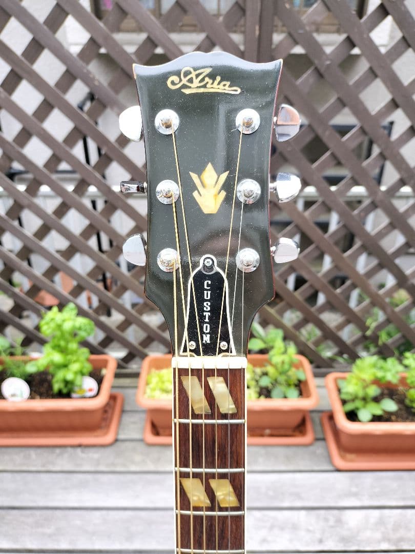 ☆美品☆Gibson　Doveモデル　Aria Custom 製造番号0067！